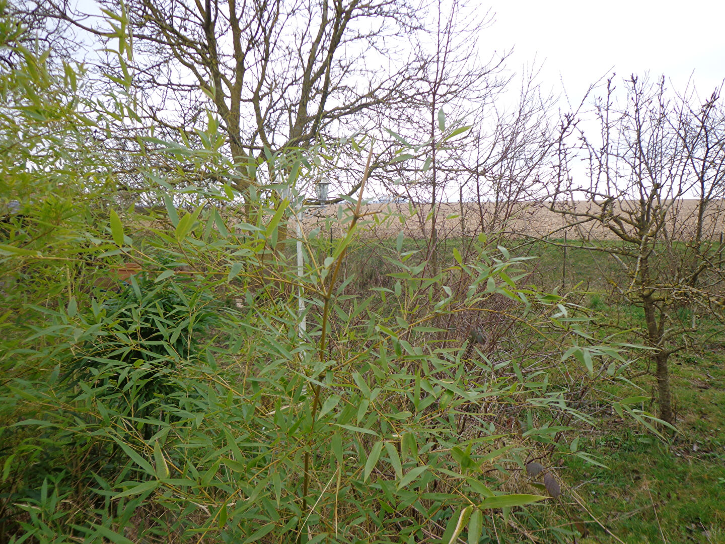 Image Terrain VERBERIE 