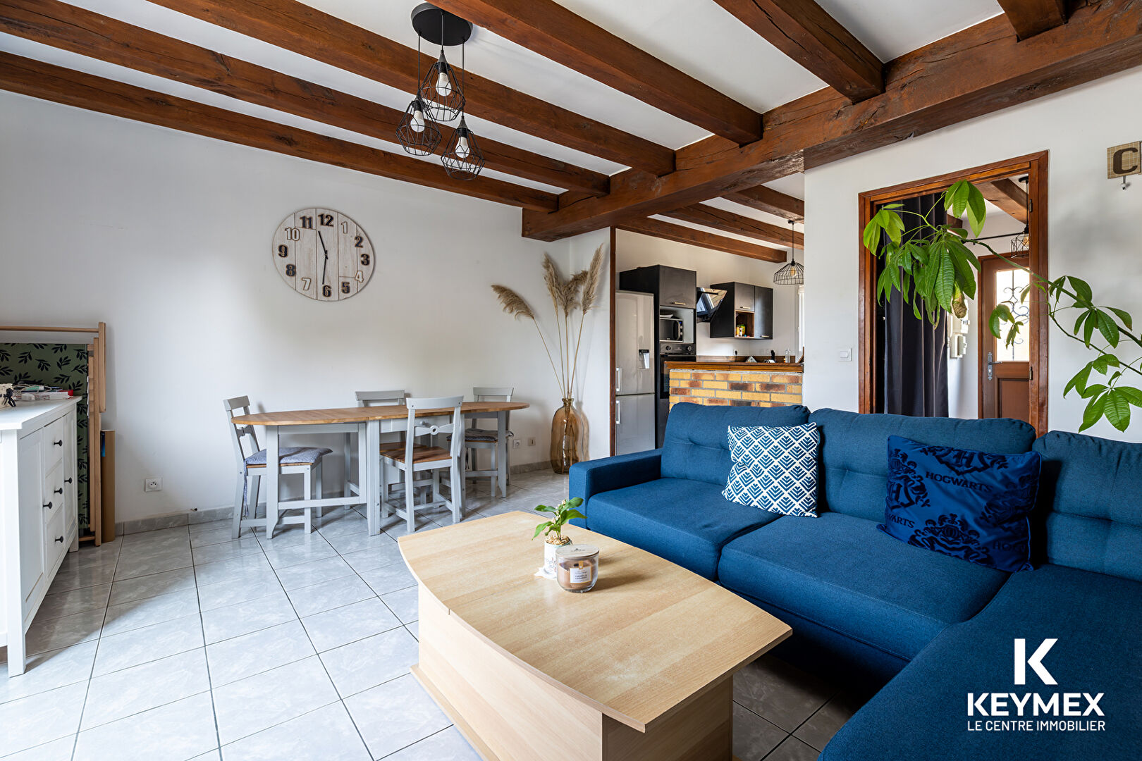 Image Appartement BORNEL 
