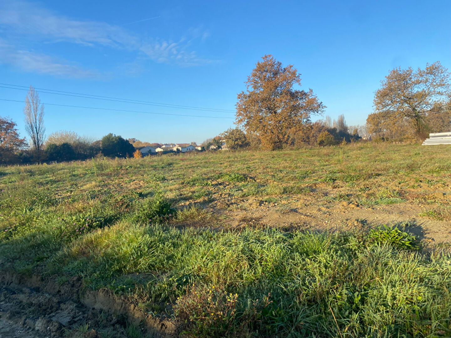 Image Terrain SAINTE EULALIE 