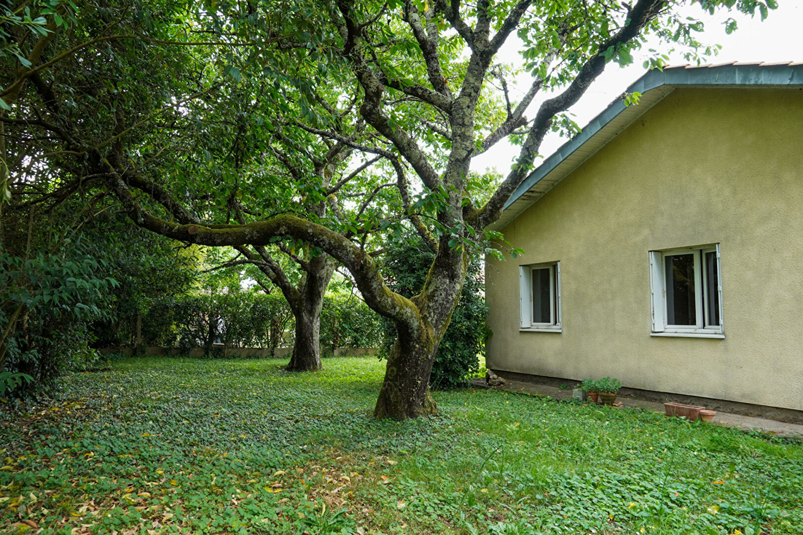 Image Maison SAINTE EULALIE 