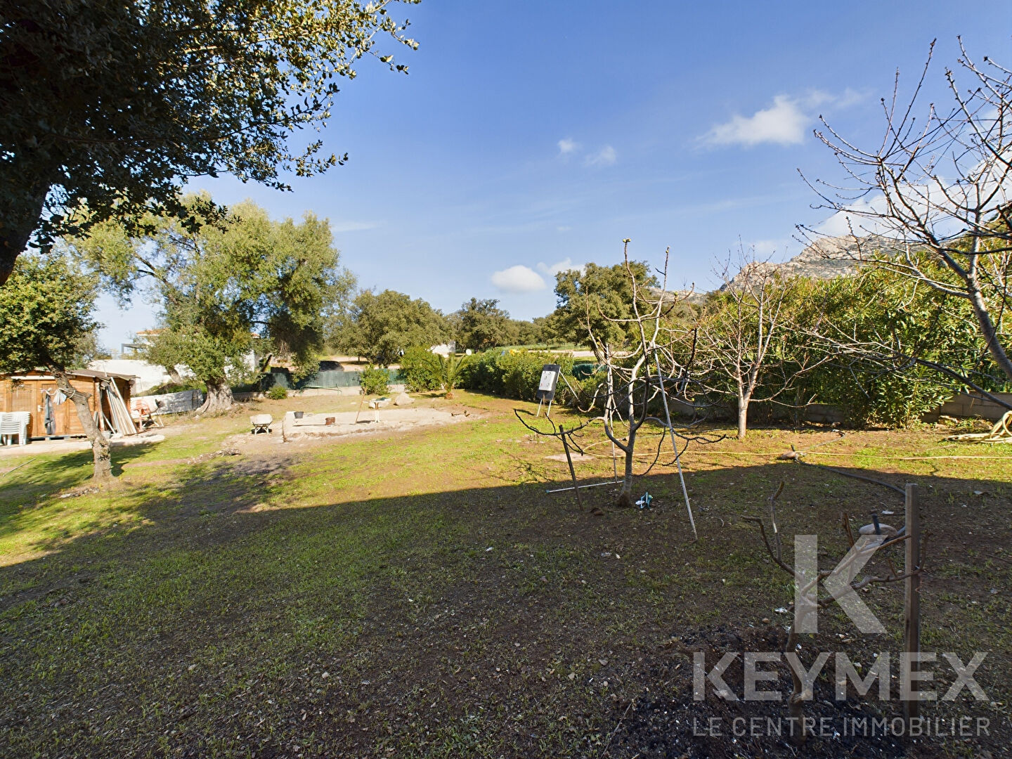 https://www.keymex.fr/Annonce/Index/52259545 vendu par MULLER Xavier