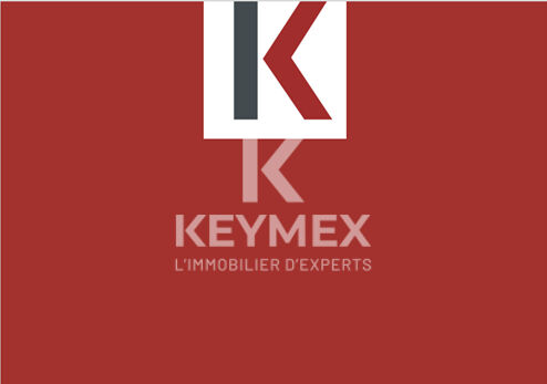 https://www.keymex.fr/Annonce/Index/51847512 vendu par PARIGOT NICOLAS