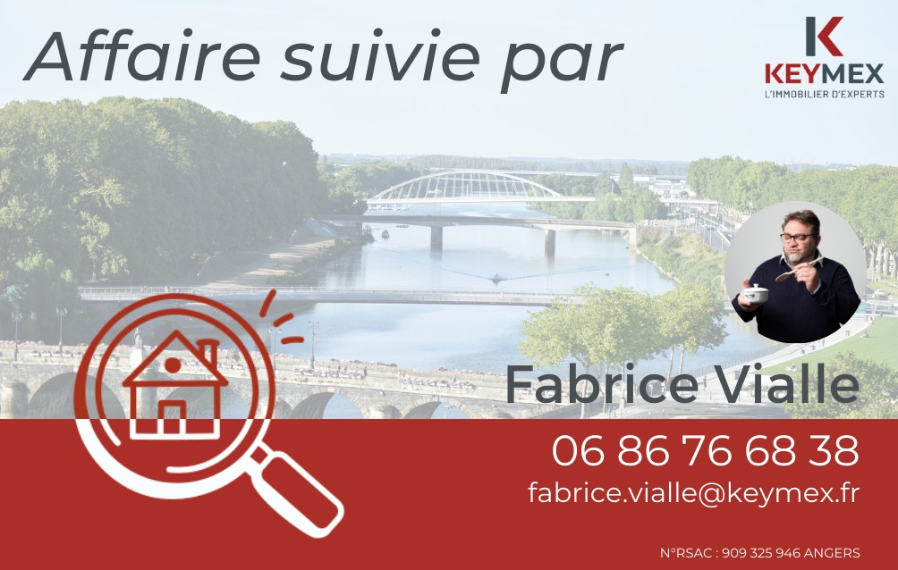 https://www.keymex.fr/Annonce/Index/51211596 vendu par Vialle Fabrice