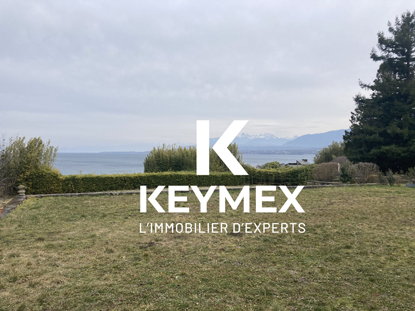 https://www.keymex.fr/Annonce/Index/52317395 vendu par FERTE Guillaume