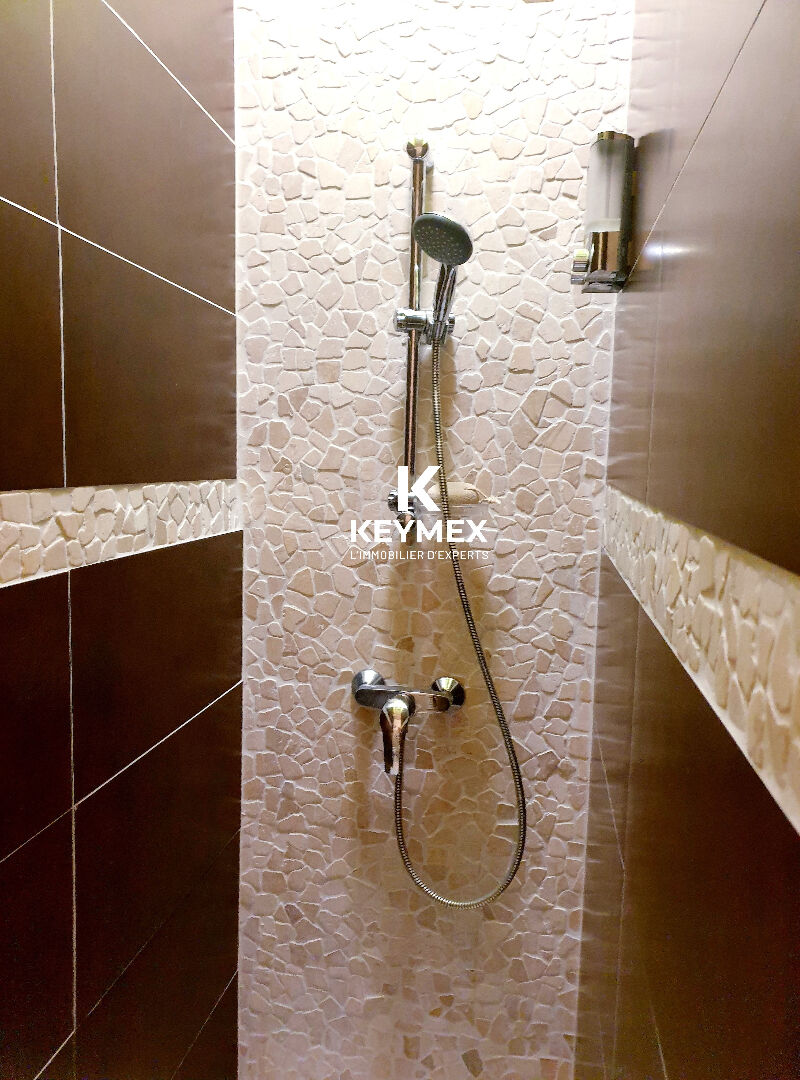 https://www.keymex.fr/Annonce/Index/52446127 vendu par DESDOUETS onuta