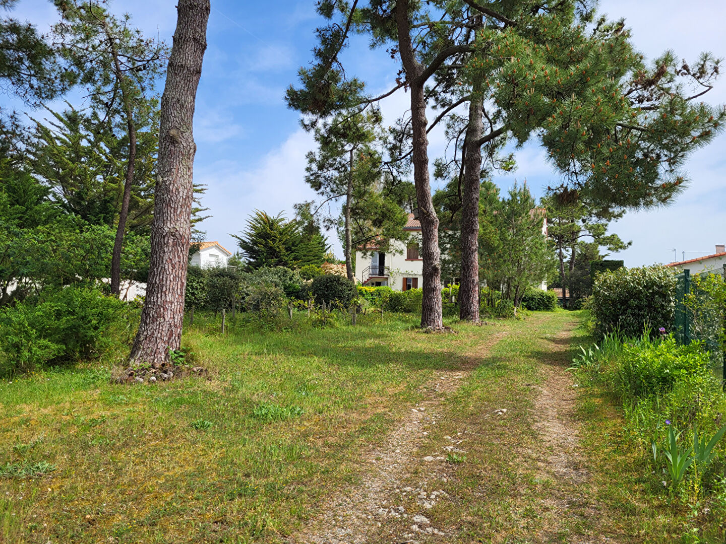 Maison
LA FAUTE SUR MER