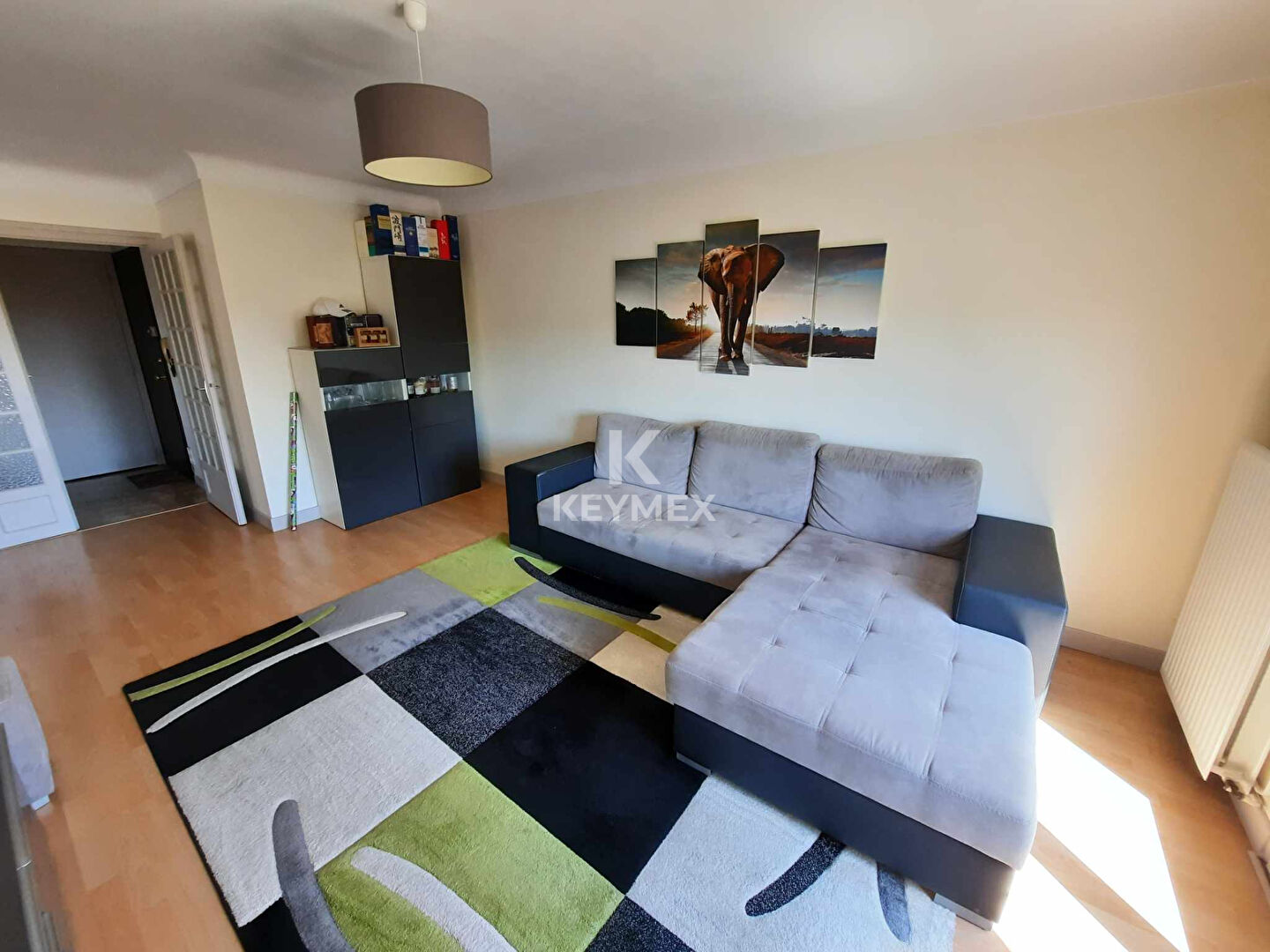 Appartement
LA ROCHE SUR YON