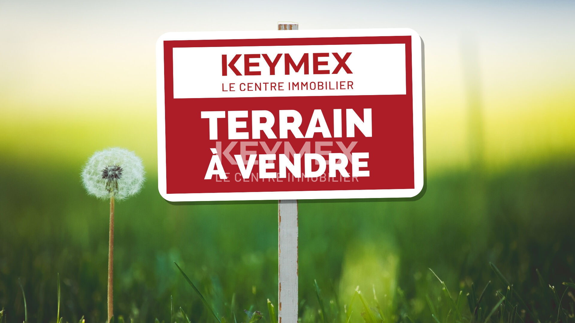 Image Terrain AVESSAC 